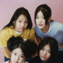 핑클 이미지