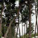 소소스토리펜션 이미지