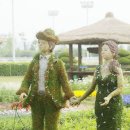 정원야생화 이미지