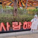 양정 유도관 이미지