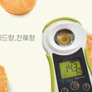 제주감귤1번지