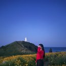 제주도 여자혼자여행 플레이스캠프 제주 액티비티 후기_밤이 빛나는 산책