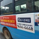 애드고흥