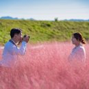 송민주 네이버블로그