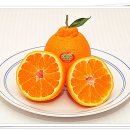 명품농장 이미지