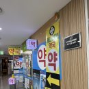개나리봄약국 이미지