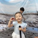 스페셜데이 '슬기로운 갯벌 생활' - 갯벌과 해산물가게 놀이 1 이미지