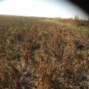 성덕농장 이미지