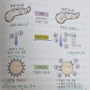 동덕여자대학교 비만미용향장대학원 | GI지수 낮은 음식 GL지수 의미는