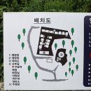 짱아야영장