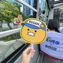 웰컴부산 | 춘식 투어 in 부산 첫날 후기 꿀팁 웰컴키트 자리배정 일정