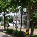 스타벅스 인천간석DT점 티스토리
