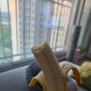 26.04.26 / 제4회 이순신마라톤 대회 하프 후기 / 21km 펀런