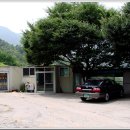 오동1교 Daum카페