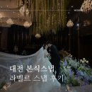 대전 마리드엘 라벨르스냅 본식스냅 홀 촬영 후기