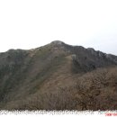 백운산가든 이미지