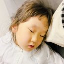 대구국제공항 | 대구공항 주차장 대구국제공항 면세점 주차요금