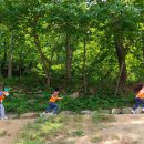 모라산림공원 이미지