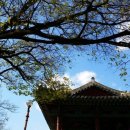 달성공원관리사무소 이미지