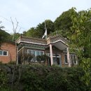 당치회관 이미지