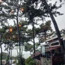 카페858