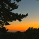 제주 자르뎅 | 서귀포 독채펜션 추천 제주자르뎅 Halla Garden룸 후기