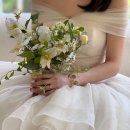 알리몰리 스튜디오(유) | 대전 더숲스튜디오 웨딩촬영 후기 원본도 넘 맘에드는것