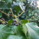 대구종합유통단지 전자상가 이미지