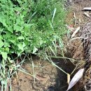 오륜대로 이미지