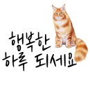 메종드블랑헤어