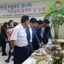 새샘초 이미지