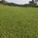 루트52CC 이미지