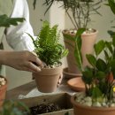 시흥대로40길 이미지