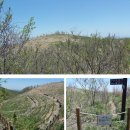 정하건강나라 | 백두대간 [6th] 우두령-황악산-추풍령... 황당한 제2 우두령.