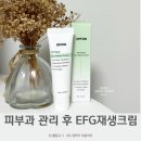 피부과 관리 후 OFFON EGF재생크림 바른 후기