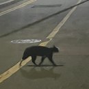 삼도다방 이미지