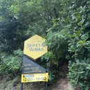 환희네 꿀벌농원 이미지