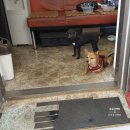 대성자동차정비공업사 이미지