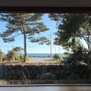 남원장식 | 아주르블루 제주 서귀포 남원 오션뷰 동백꽃 감성카페