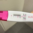 제일중기 | 초산모의 임신 후 몸 변화 (임신초기, 중기, 후기) 현실 후기