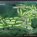 코스카cc 이미지