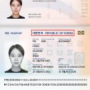 해외여행 여권 분실 대처 방법 후기 필요서류 기간 feat. 영사관 증명사진 여행자보험
