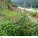 사정1리경로당 이미지