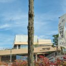 아장아장, 나비의 여행 | 춘천여행 춘천어린이박물관 국립춘천박물관 실감영상 아장아장 박물관 첫걸음 아이와 가기 좋은 곳