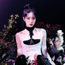 아이리스비쥬얼
