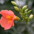 우공이산 이미지