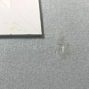 (환경교육) 유해화학물질에 슬기롭게 대처하는 꿀팁 | 새집으로 설레는 발걸음, 입주청소 완벽하게 끝내는 꿀팁 대방출!