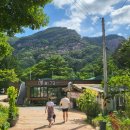 숲;79펜션 이미지