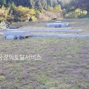 천궁장의 이미지