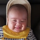 율이파파 이미지